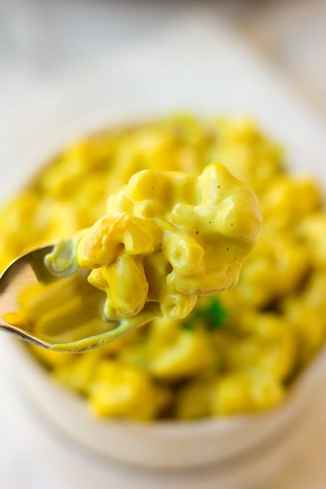 close up on fork of vegan mac and cheese