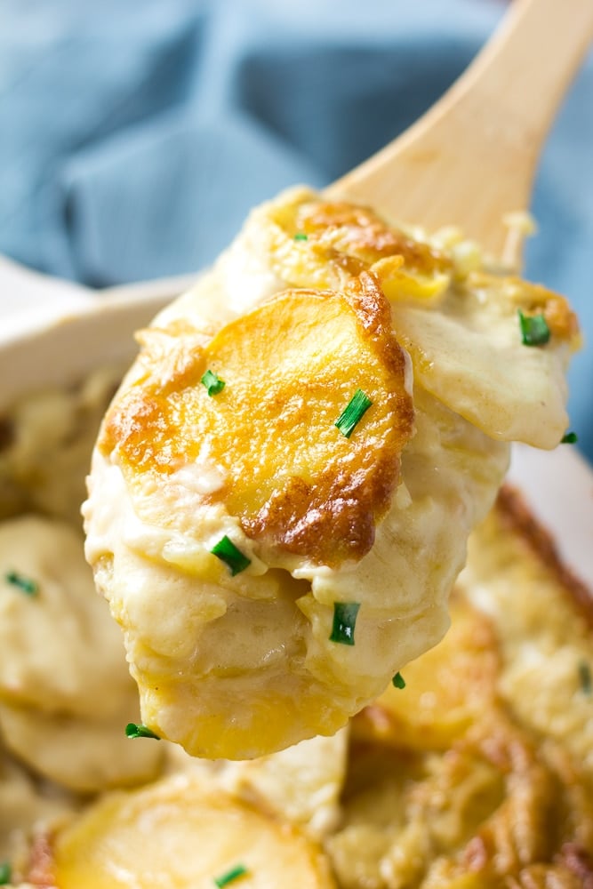 vegan scalloped potatoes close up on wooden spoon