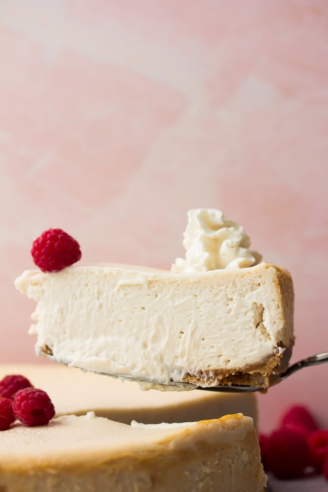 slice of cheesecake, pink background, on serving spatula