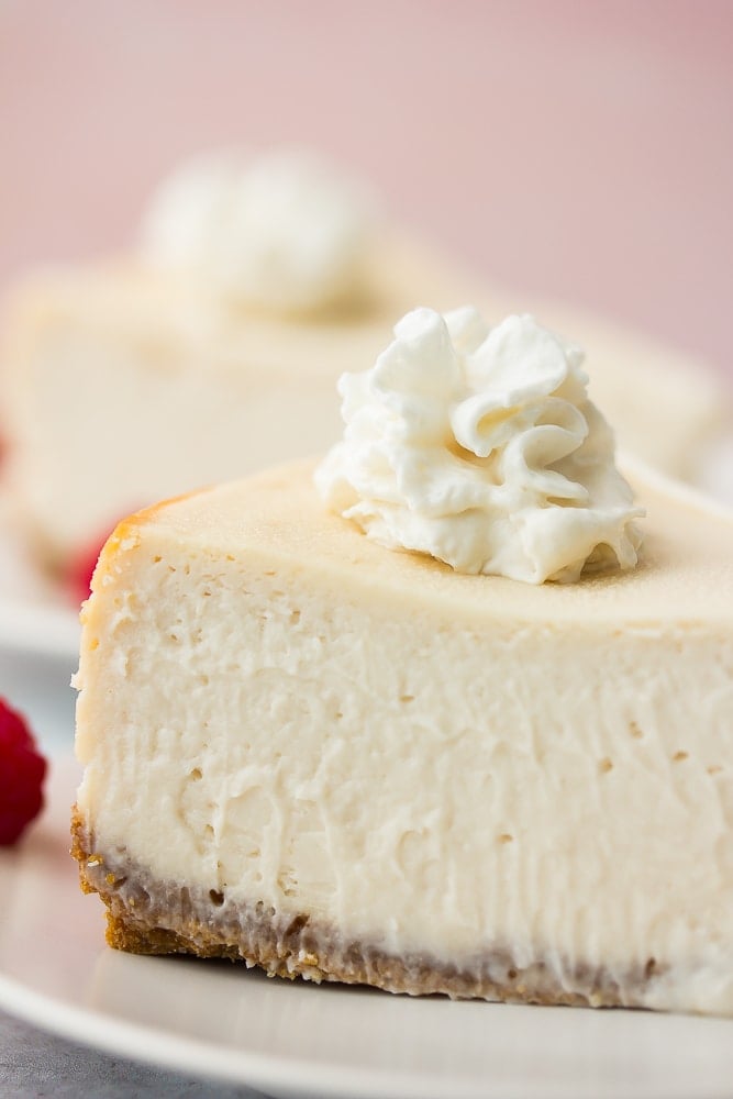 close up of piece of cheesecake with whipped cream