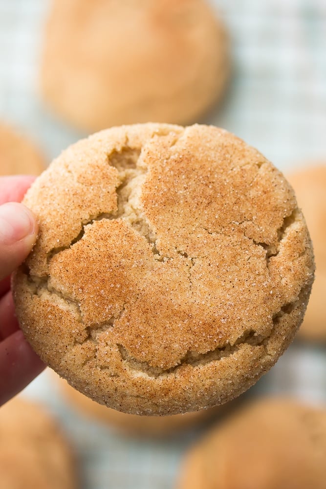 close up of a person holding a vegan snickerdoodles cookies