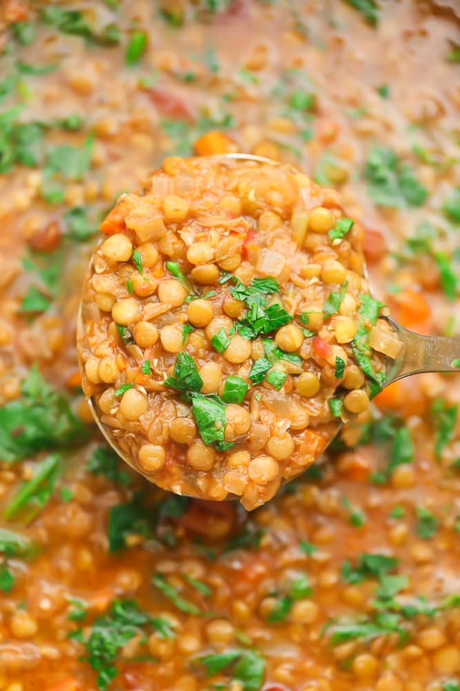 ladle holding soup from pot