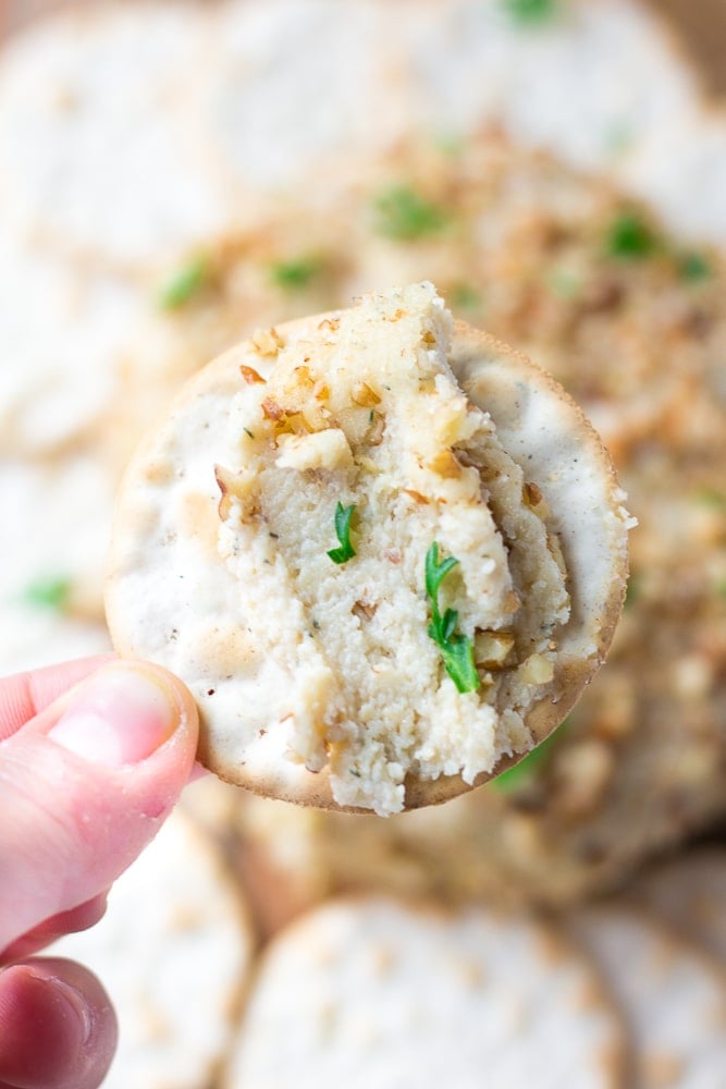 vegan cheese ball on a cracker