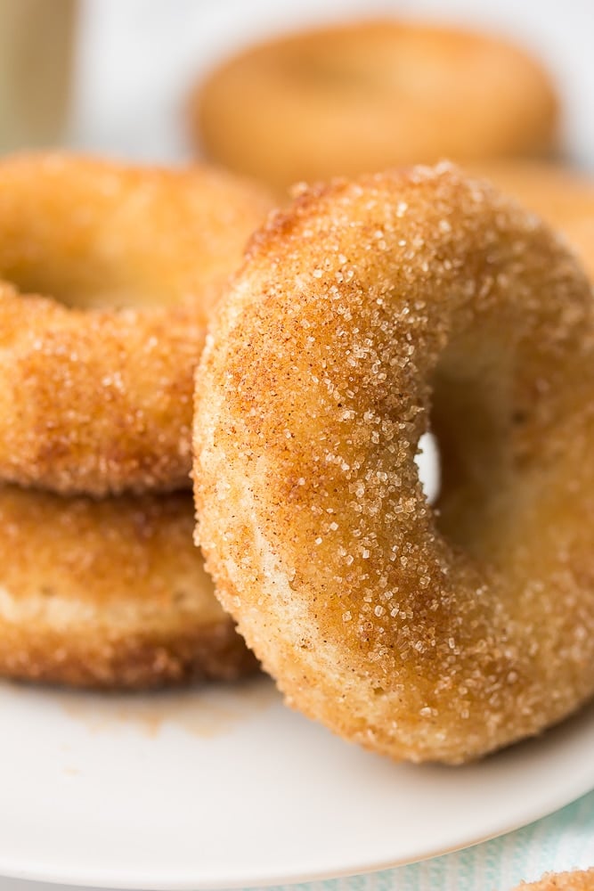 two donuts stacked, more in back, one close up side photo