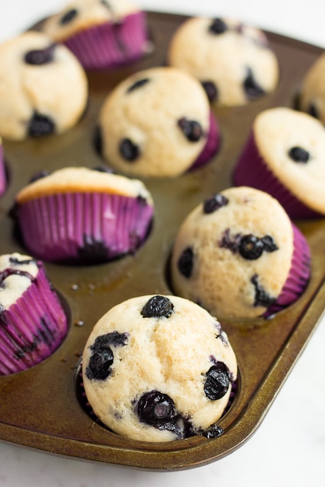 vegan blueberry muffins cooked in purple muffin cups.