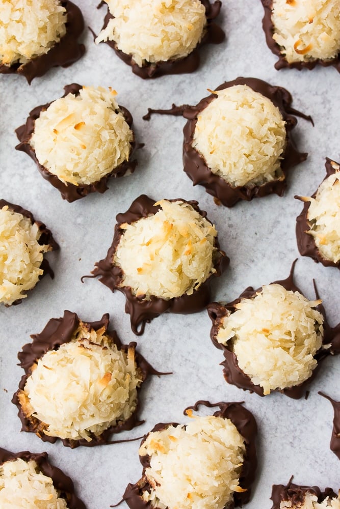 coconut macaroons dipped in chocolate and on a grey background.