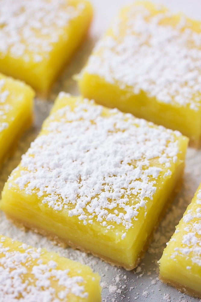 lemon bars with powdered sugar on top all lined up.