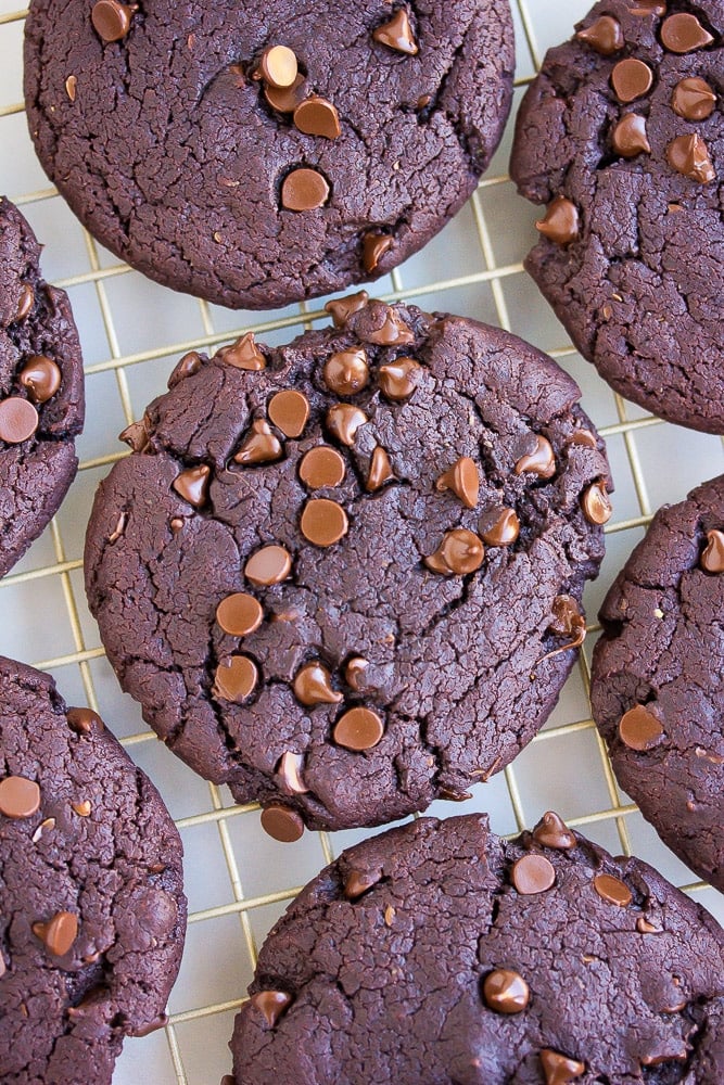 close up of chocolate cookies on cooling rack