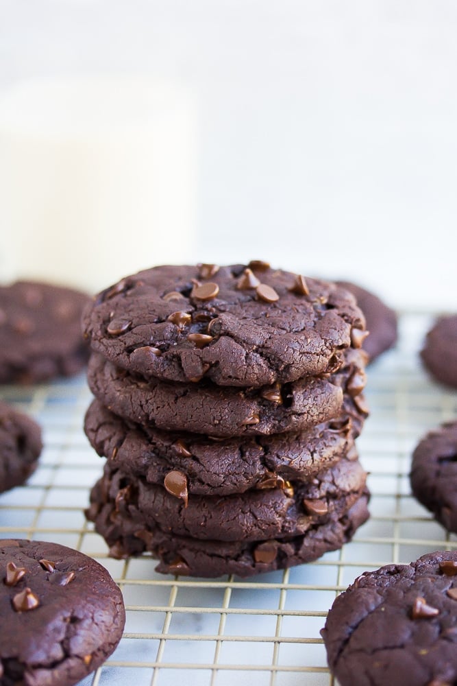 stack of chocolate cookies with white background