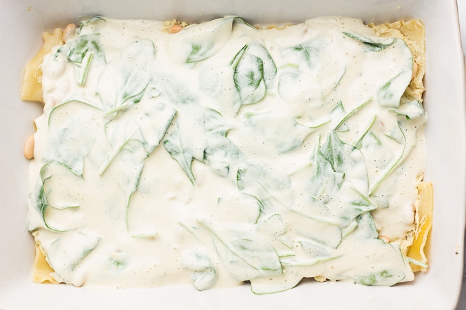 layering lasagna with spinach and white sauce