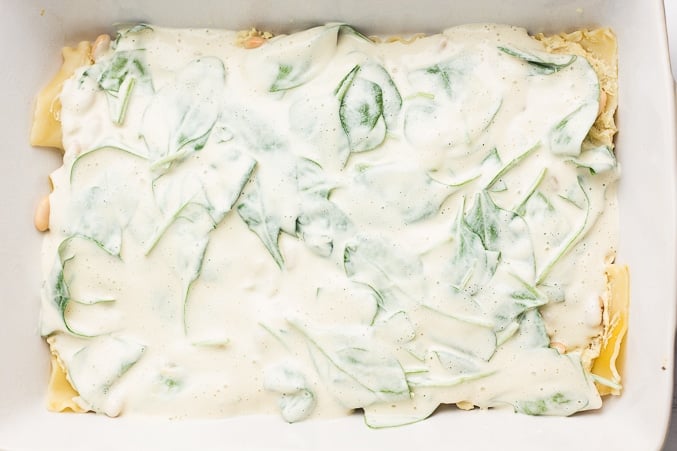 layering lasagna with spinach and white sauce