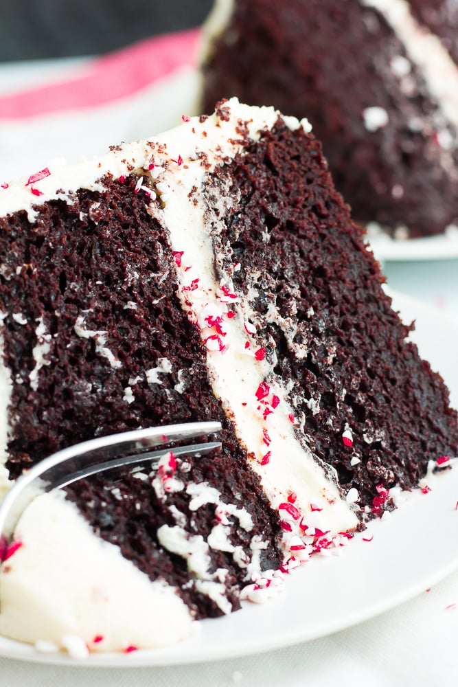 close up slice of cake with fork taking a bite