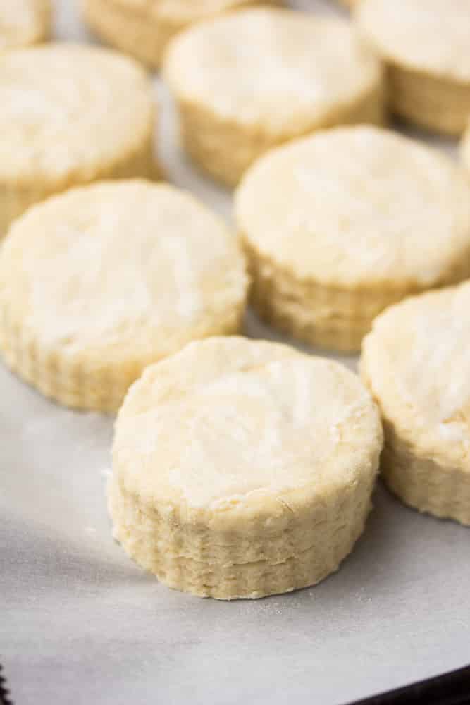 a close up of a group of biscuits