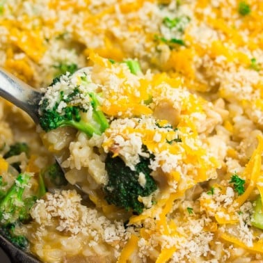 square image of a close of shot of chicken broccoli vegan casserole