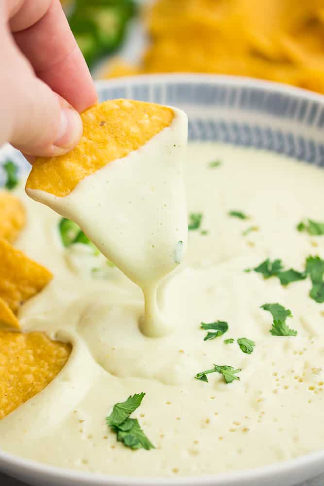 chip dipping into white cheese in bowl with cilantro