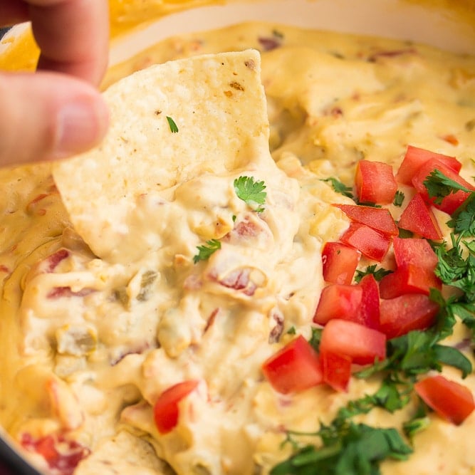 tortilla chip dipped in vegan queso with tomatoes and cilantro on top