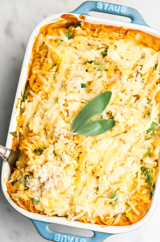 whole pumpkin pasta bake not yet cut into, baked