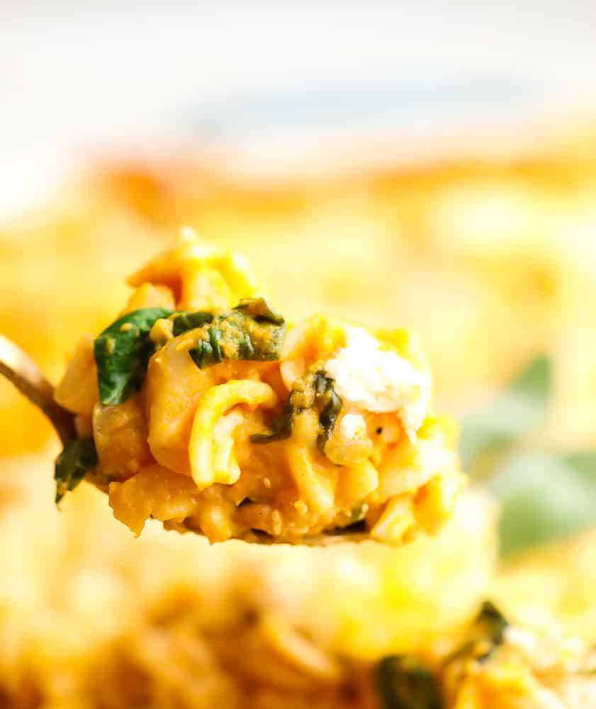 a spoonful of pumpkin pasta from casserole dish