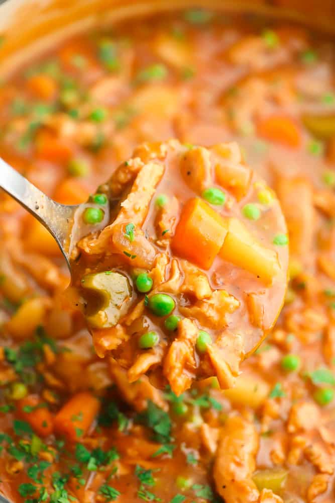 ladle holding vegan stew out of a pot