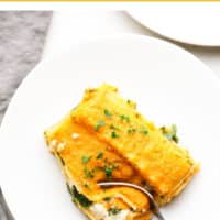 pinterest collage with text of squash lasagna