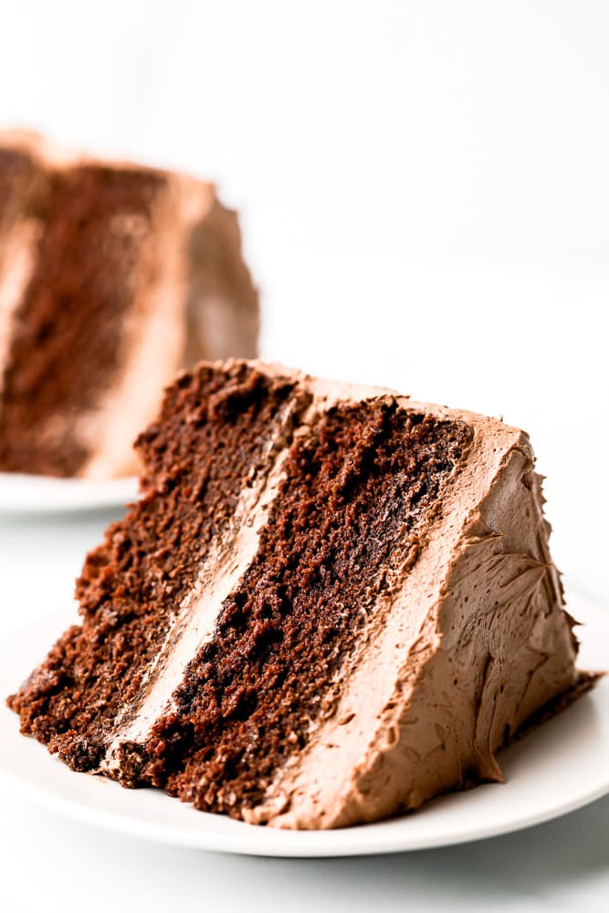close up of a piece of chocolate cake on a white plate