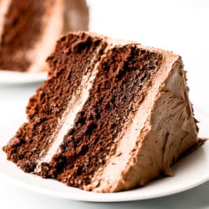 close up of a piece of chocolate cake on a white plate