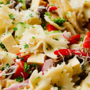 close up on a vegan pasta salad