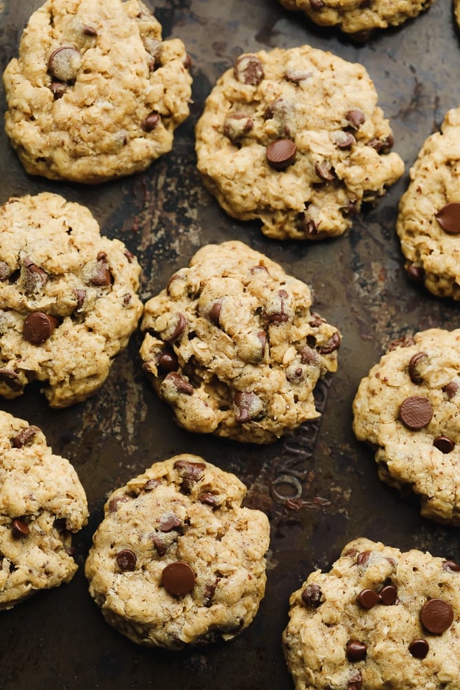 rows of baked oatmeal chocolate chip cookies on a baking sheet