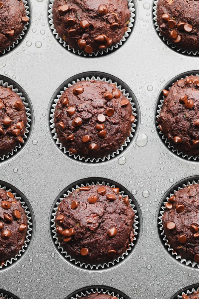 Closeup on chocolate zucchini muffins in a muffin tin