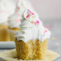 square photo of cupcake with frosting and sprinkles