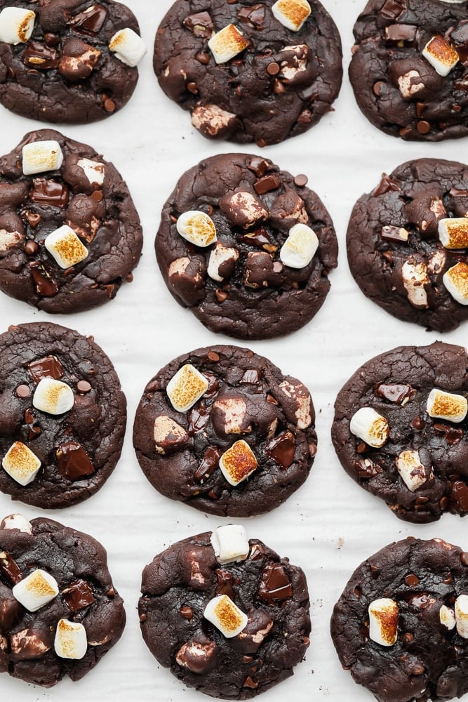 rows of baked chocolate marshmallow cookies on parchment paper