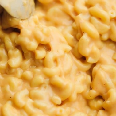 close up on saucy mac and cheese
