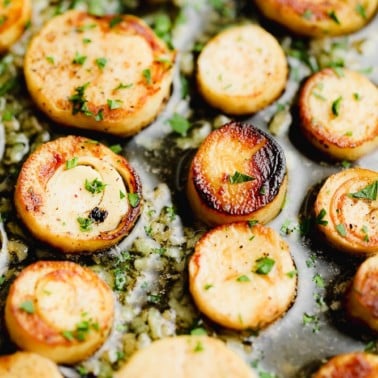 close up on cooked vegan scallops