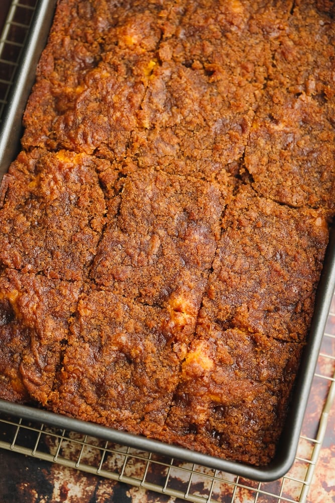 dark brown baked cake cut into squares in a metal baking tin.