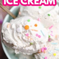 pinterest image with bubble text for ice cream, vegan