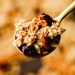 close up on a spoonful of homemade granola.