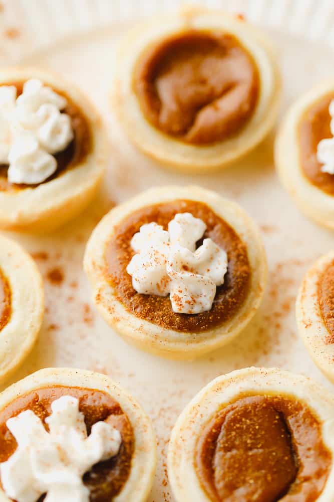 close up of pumpkin pies with whip sprinkled with cinnamon
