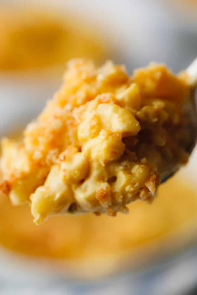 spoonful of pasta, orange sauce and breadcrumbs