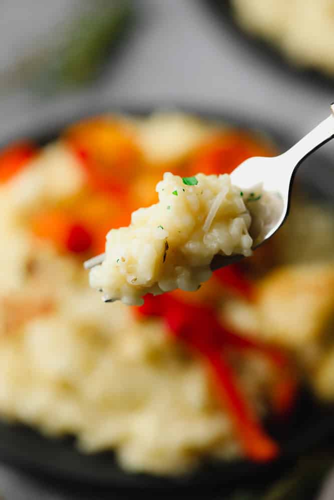 risotto on a fork close up