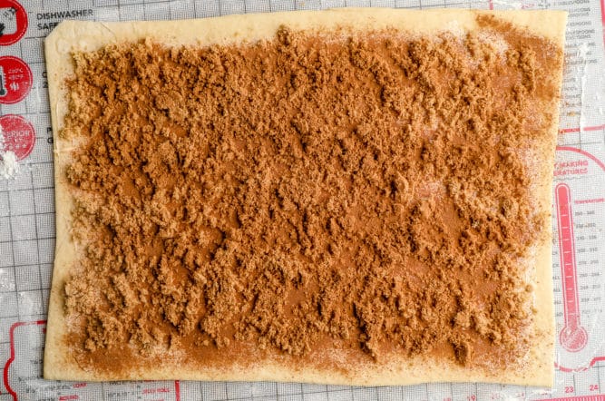 rectangle of dough with cinnamon all over it