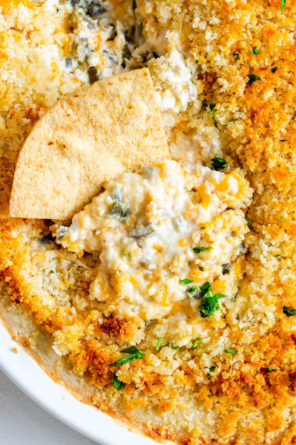 tortilla chip dipped into a white breadcrumb-covered dip.