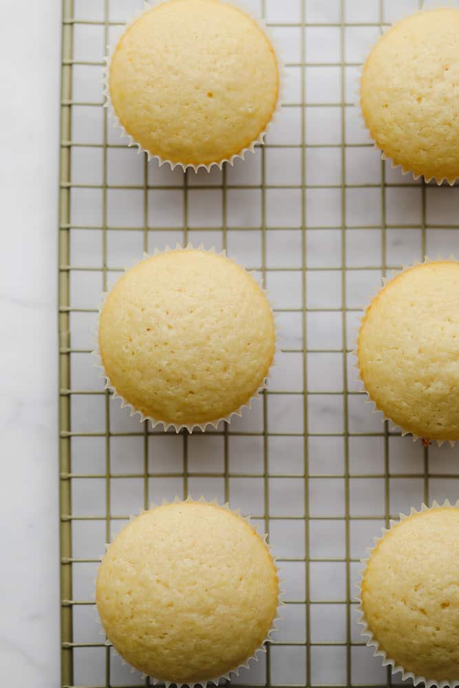 unfrosted baked cupcakes on cooling rack