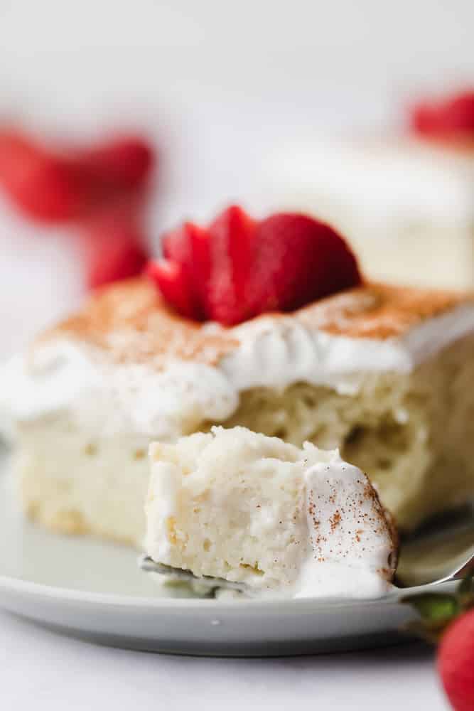 bite taken of a vegan tres leches cake showing texture