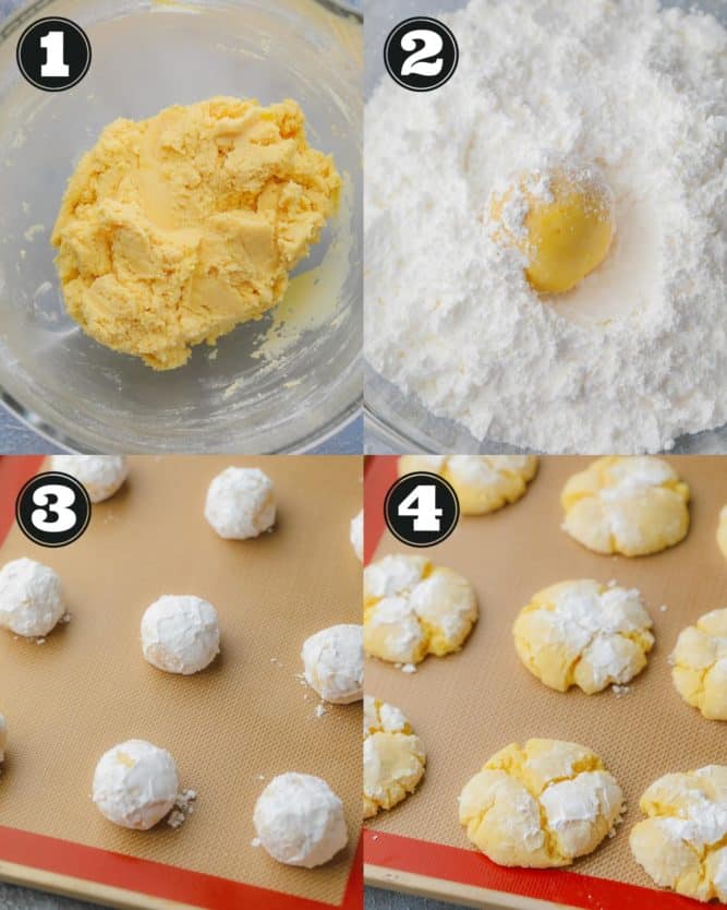 collage of how to make cookie dough and roll in powdered sugar then bake