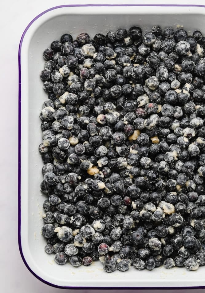 blueberries in a white pan with blue rim