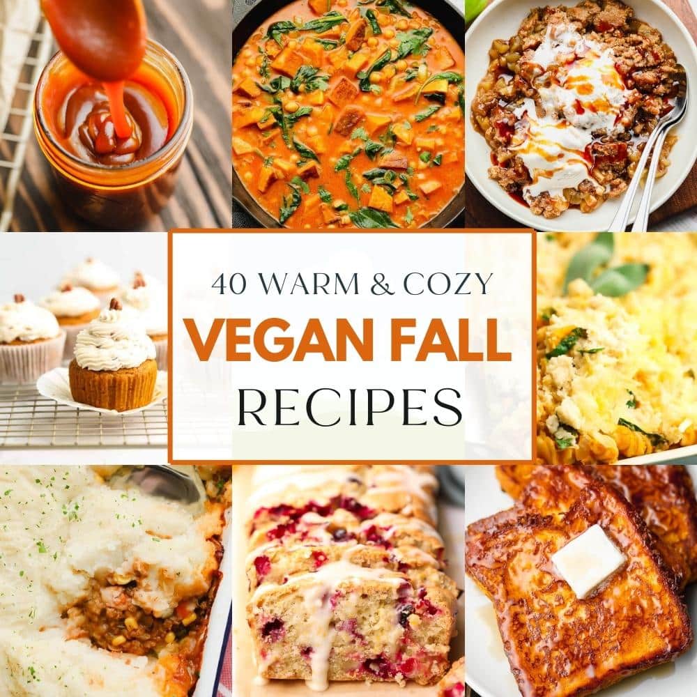 40 Warm and Cozy Vegan Fall Recipes - Nora Cooks