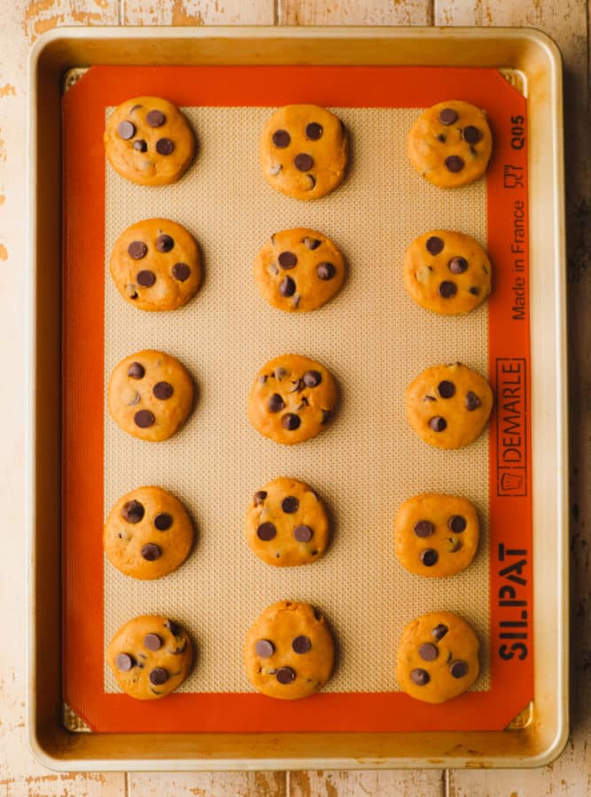 Pumpkin Chocolate Chip Cookies - Nora Cooks