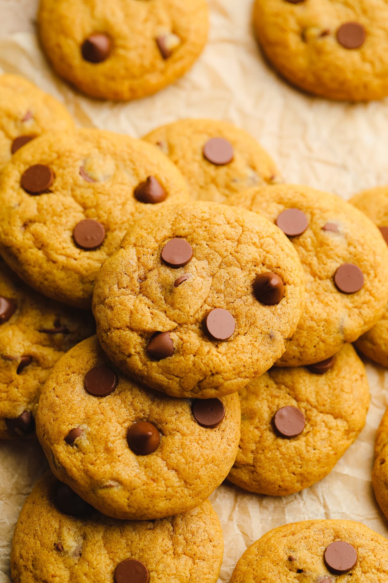 close up on a pile of pumpkin chocolate chip cookies.