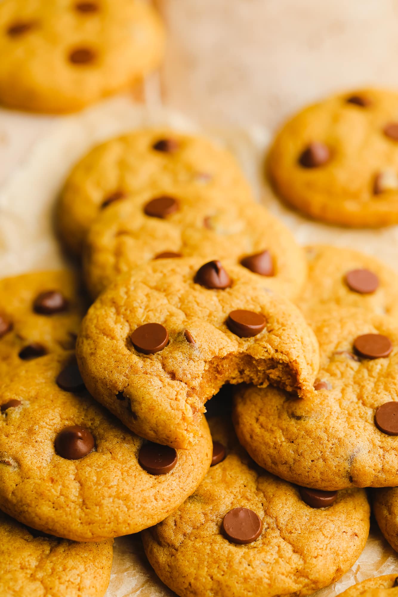 a Pumpkin Chocolate Chip Cookie with a bite taken out of it.