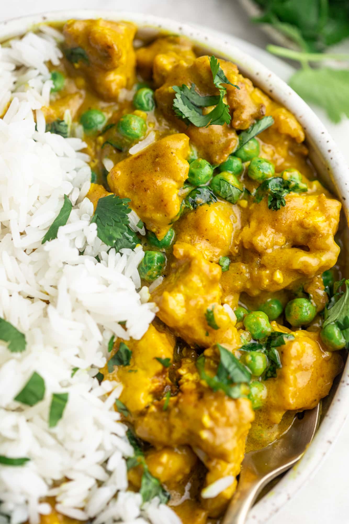 close up on tofu curry and white rice in a white bowl.